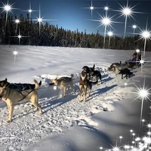 Meet your Posher, Joan